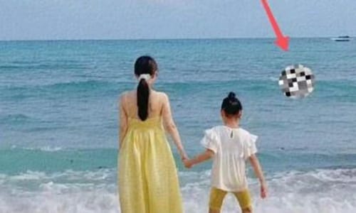 李小璐贾乃亮复合(李小璐贾乃亮复合二胎) 李小璐贾乃亮复合(李小璐贾乃亮复合二胎)