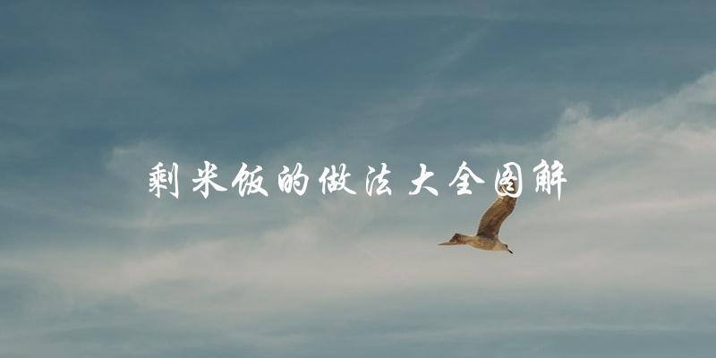 图解大全:如何处理剩余米饭? 图解大全:如何处理剩余米饭?