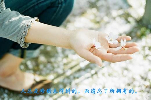 励志的句子致自己简短