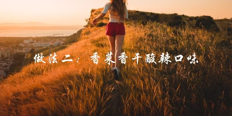 做法二:香菜香干酸辣口味 做法二:香菜香干酸辣口味