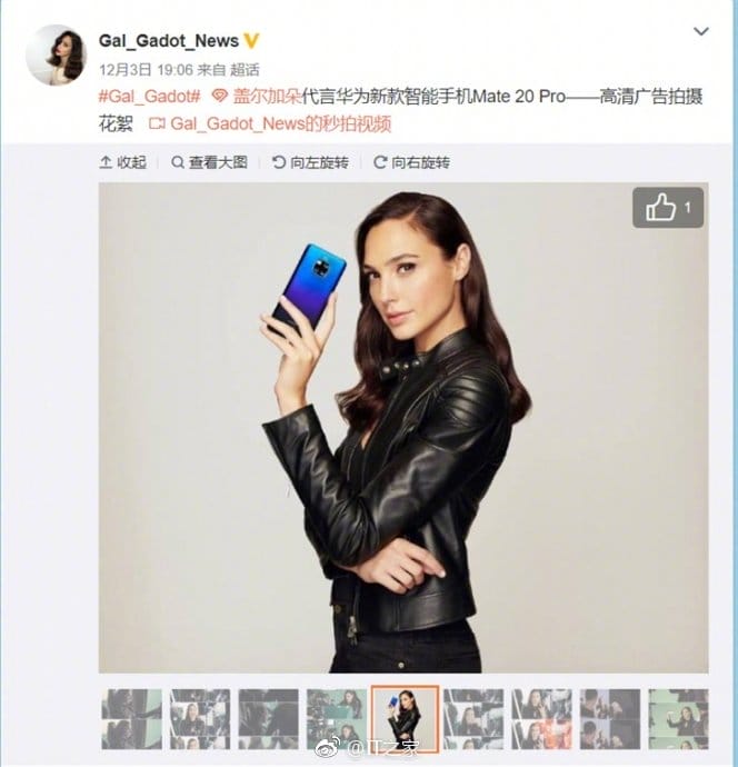 盖尔加朵穿三角裤图片 盖尔加朵穿三角裤图片