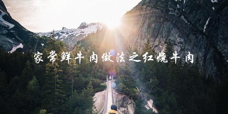 家常鲜牛肉做法之红烧牛肉 家常鲜牛肉做法之红烧牛肉