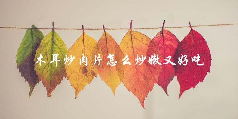 教你木耳炒肉片的秘诀:嫩滑又美味 教你木耳炒肉片的秘诀:嫩滑又美味