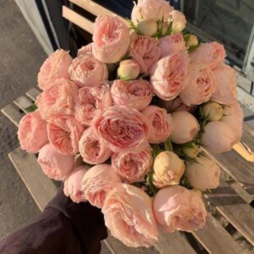当一个人最难熬的经典语录