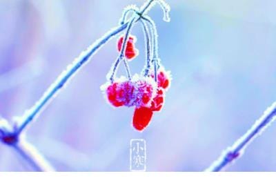 qq心情说说搞笑句子
