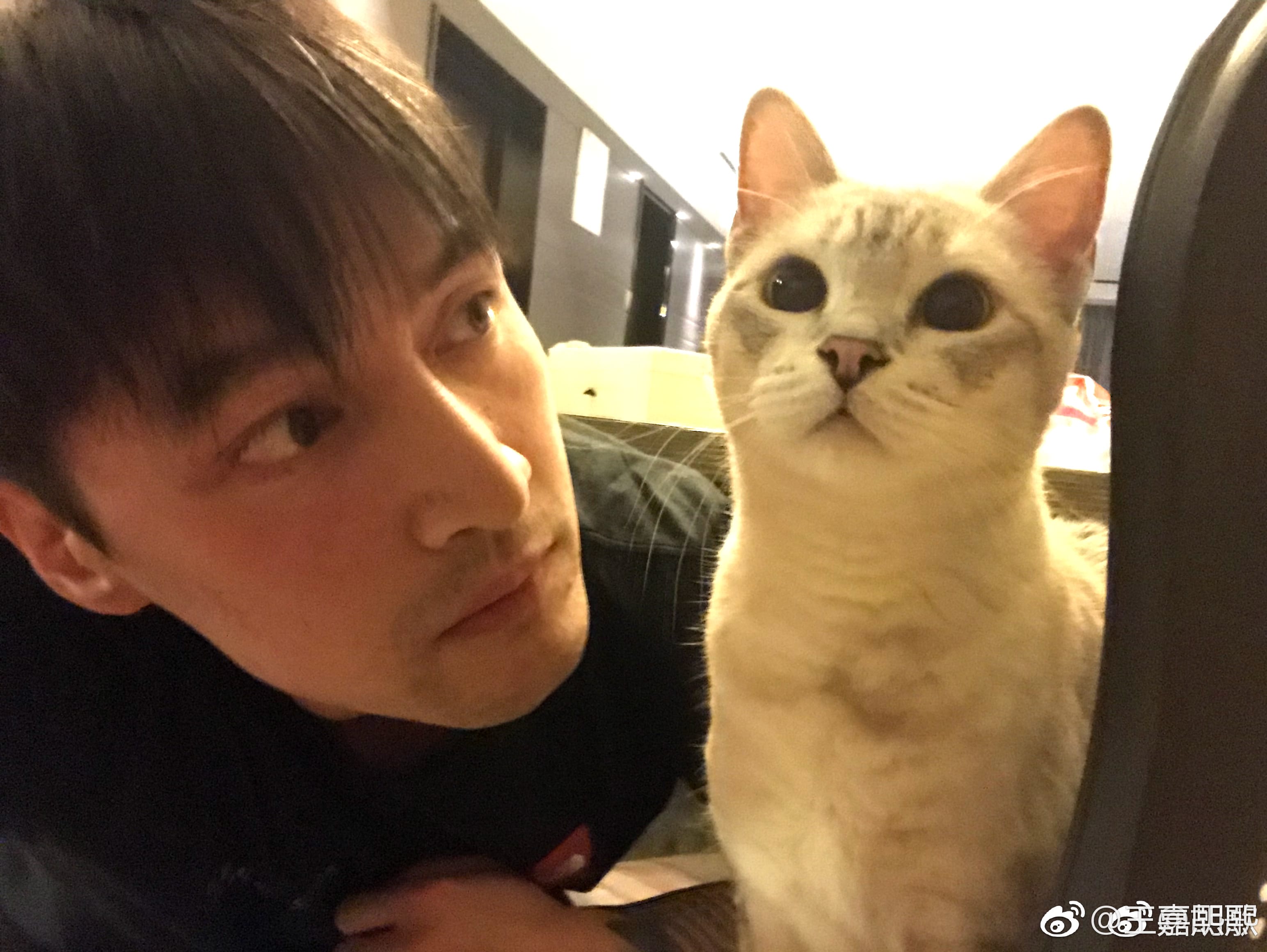 胡歌助理张冕生前照片(胡歌好友张冕) 胡歌助理张冕生前照片(胡歌好友张冕)