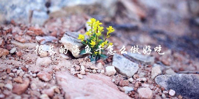 如何让很长的海鱼干变得美味可口 如何让很长的海鱼干变得美味可口