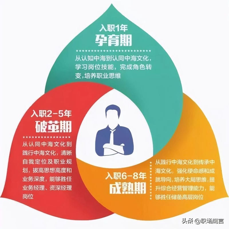 企业招聘管培生的目的(企业管培生是什么意思)(图5) 企业招聘管培生的目的(企业管培生是什么意思)(图5)