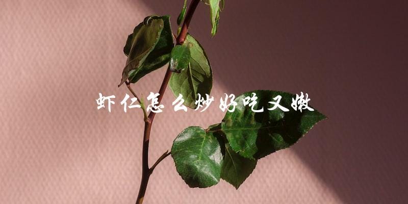 揭秘!虾仁炒出嫩滑口感的绝妙技巧! 揭秘!虾仁炒出嫩滑口感的绝妙技巧!