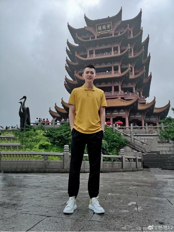 杨鸣为什么叫杨18、断腕(杨鸣壮士断腕) 杨鸣为什么叫杨18、断腕(杨鸣壮士断腕)
