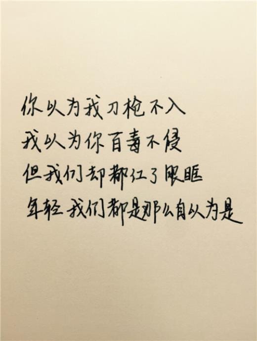中年人的外貌描写
