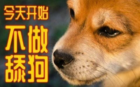 舔狗是什么意思,被自己家的狗狗锁住了,本文共(2739字) 舔狗是什么意思,被自己家的狗狗锁住了,本文共(2739字)