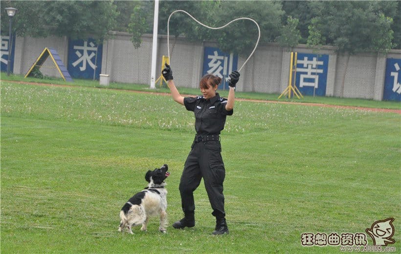 警花与警犬杜飞的狗狗是什么品种的?杜飞扮(杜飞扮演者《警花与警犬》) 警花与警犬杜飞的狗狗是什么品种的?杜飞扮(杜飞扮演者《警花与警犬》)