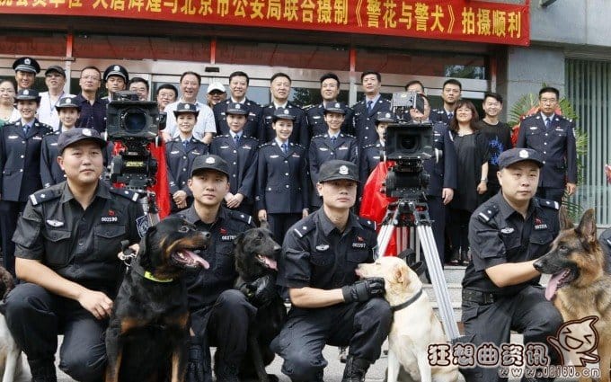 警花与警犬杜飞的狗狗是什么品种的?杜飞扮(杜飞扮演者《警花与警犬》) 警花与警犬杜飞的狗狗是什么品种的?杜飞扮(杜飞扮演者《警花与警犬》)