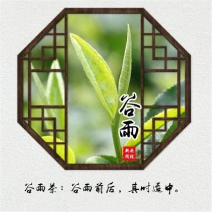 带艺术气息夸人的句子