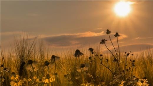 霸气比赛口号