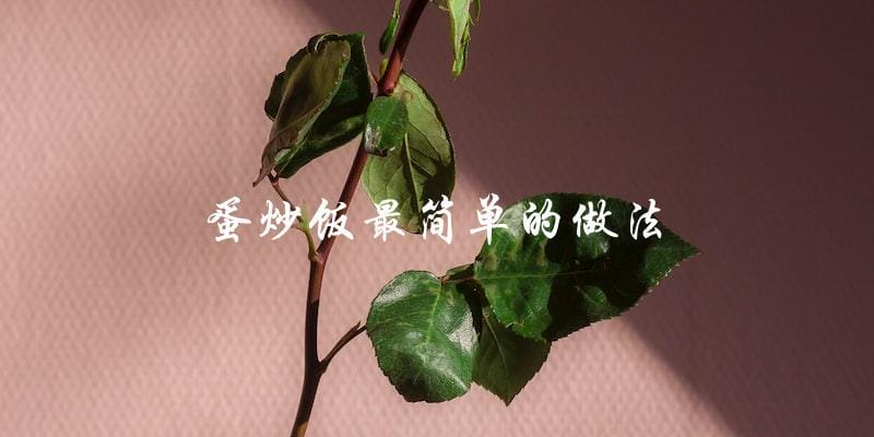 教你轻松做出最简单的蛋炒饭 教你轻松做出最简单的蛋炒饭