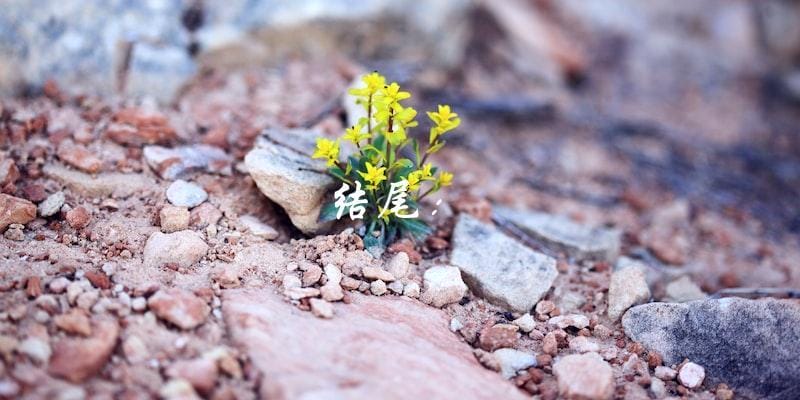 结尾: 结尾: