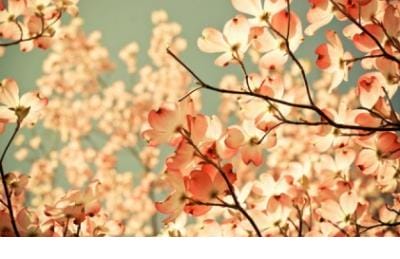 关于马的成语及解释
