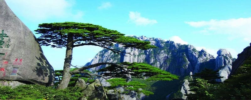 中国四大名山海拔高度(我国四大名山是哪四座山)(图1) 中国四大名山海拔高度(我国四大名山是哪四座山)(图1)