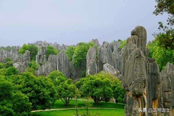 适合80岁以上老人旅游的地方(八十岁老人可以去哪里旅游)(图9) 适合80岁以上老人旅游的地方(八十岁老人可以去哪里旅游)(图9)