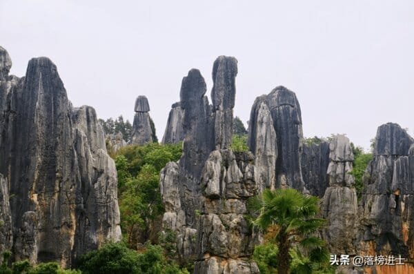 适合80岁以上老人旅游的地方(八十岁老人可以去哪里旅游)(图10) 适合80岁以上老人旅游的地方(八十岁老人可以去哪里旅游)(图10)