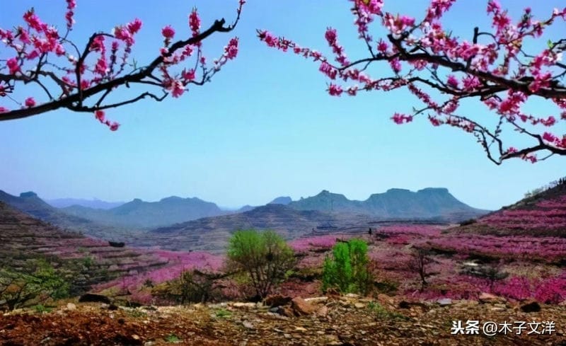 蒙阴县属于哪个市哪个区（蒙阴县是哪个省哪个市）(图4)