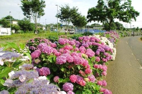 生产车间安全标语大全