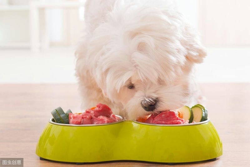 狗狗不能吃的水果和蔬菜,你知道有几个呢-（狗狗不能吃的20种水果）(图12)