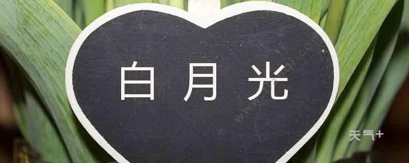 白月光是什么意思,白月光对男生意味着什么,本文共(2988字) 白月光是什么意思,白月光对男生意味着什么,本文共(2988字)