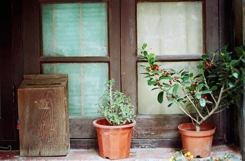 过年打扫卫生的朋友圈说说