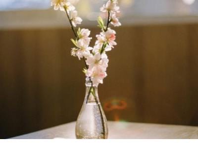 积极努力的团队口号