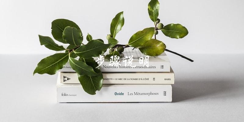 步骤说明 步骤说明