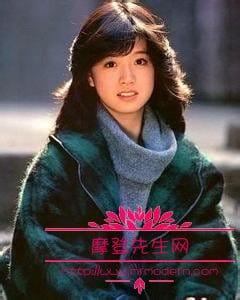 三原顺子现任老公中根雄也照片 三原顺子现任老公中根雄也照片