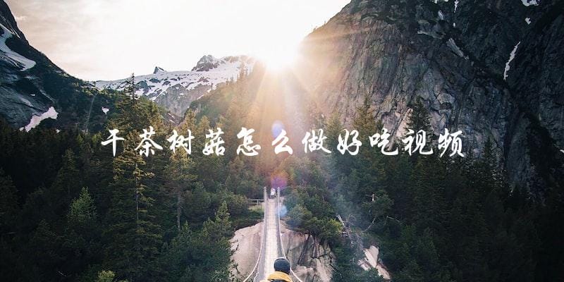 干茶树菇怎么做好吃视频 干茶树菇怎么做好吃视频
