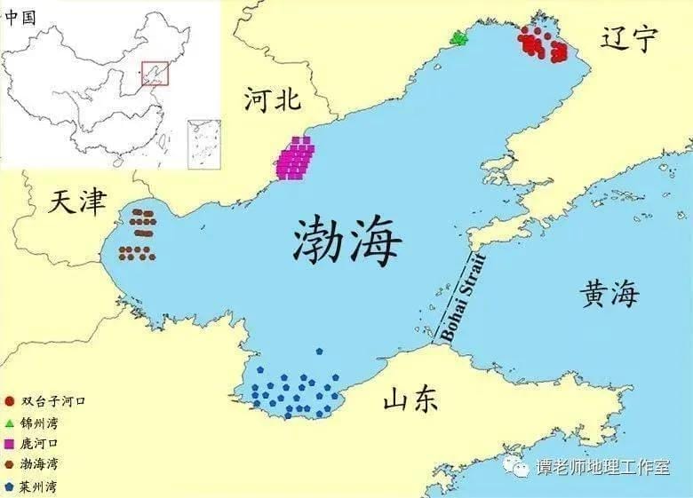 中国四大海域中,面积最大的是-（我国面积最大的海域是哪里）(图2)