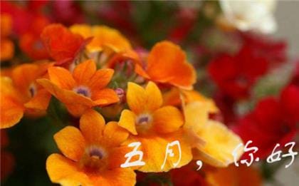 青春工作奋斗梦想励志句子