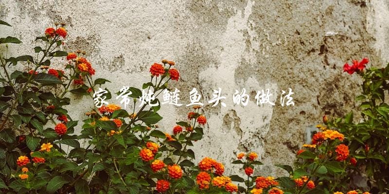 家常炖鲢鱼头的做法 家常炖鲢鱼头的做法