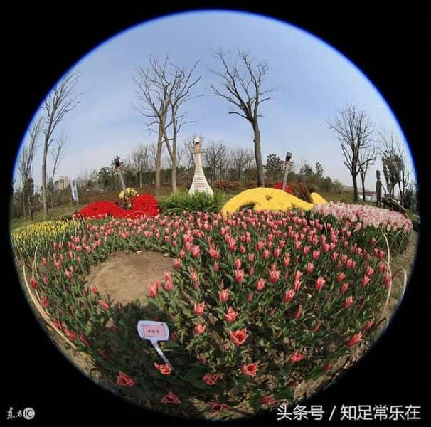 天女散花中的天女是花神吗(天女散花是什么生肖)(图2) 天女散花中的天女是花神吗(天女散花是什么生肖)(图2)