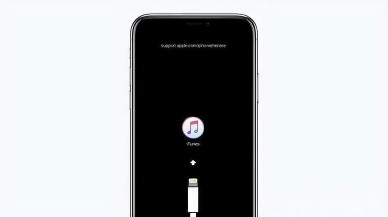 iphone黑屏但是机器是开着的怎么办（苹果手机屏幕不亮怎么回事）(图3)