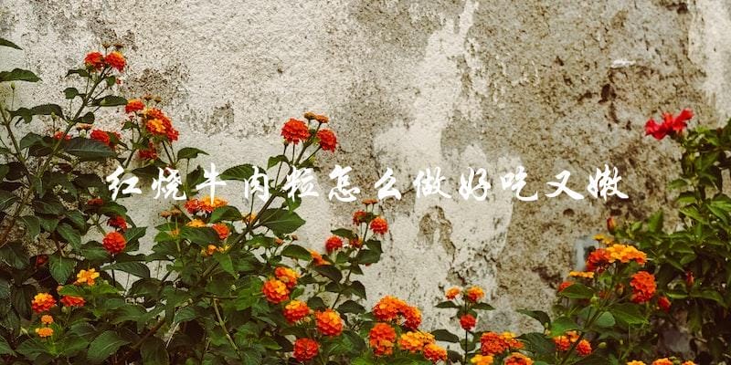 红烧牛肉粒:嫩滑口感的秘诀大揭秘! 红烧牛肉粒:嫩滑口感的秘诀大揭秘!