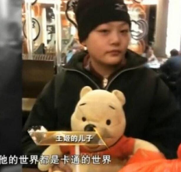 王姬有个自闭儿子吗,王姬大脑国航是怎么回事？　本文共（980字）