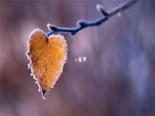 道歉的句子给朋友圈的