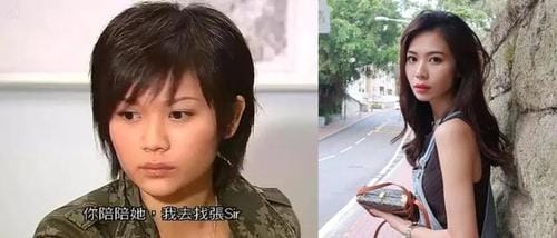 杨秀惠，蔡思贝为什么叫发电机
