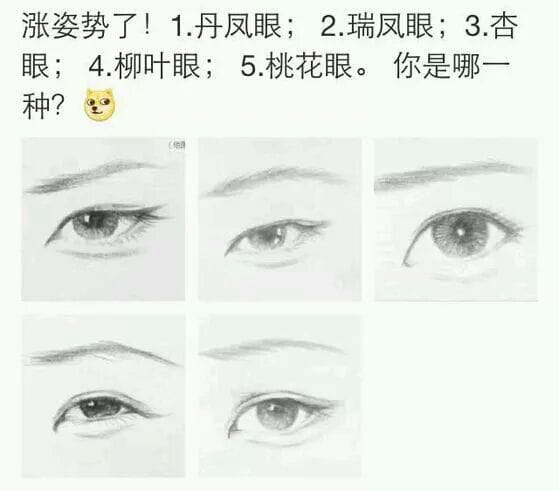 刘雯为什么不割双眼皮(刘雯单眼皮为什么好看)