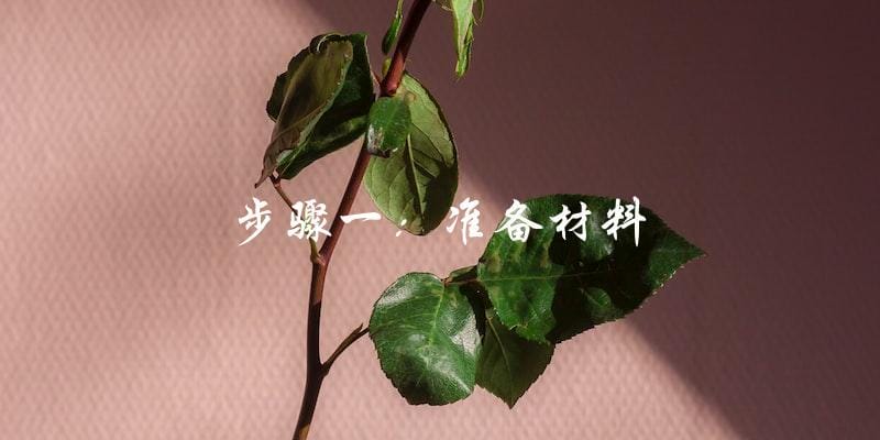 步骤一:准备材料 步骤一:准备材料