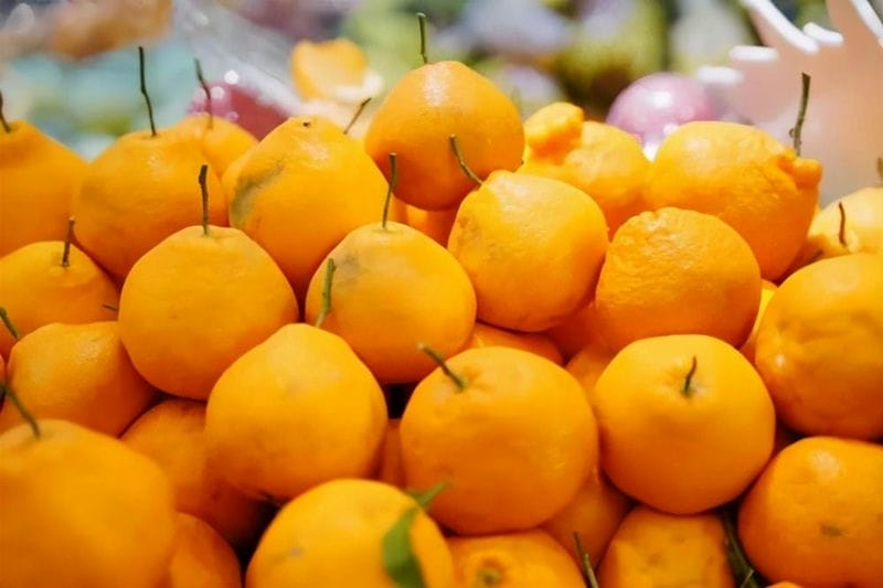 丑橘和粑粑柑哪个更好-（粑粑柑是丑橘吗是什么样子的）(图5)