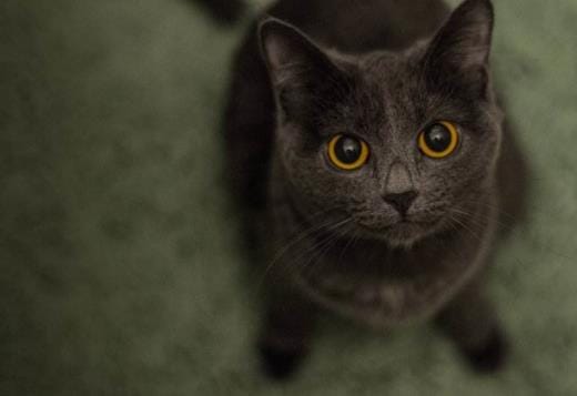 学生个性签名女生励志