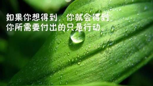 说说表白大全
