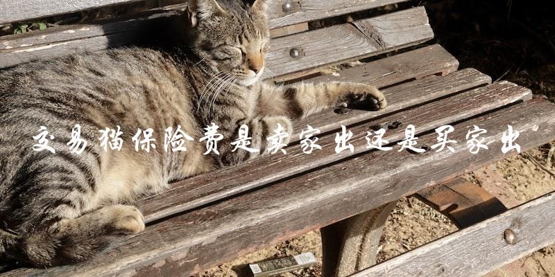 卖家还是买家应该支付交易猫的保险费? 卖家还是买家应该支付交易猫的保险费?